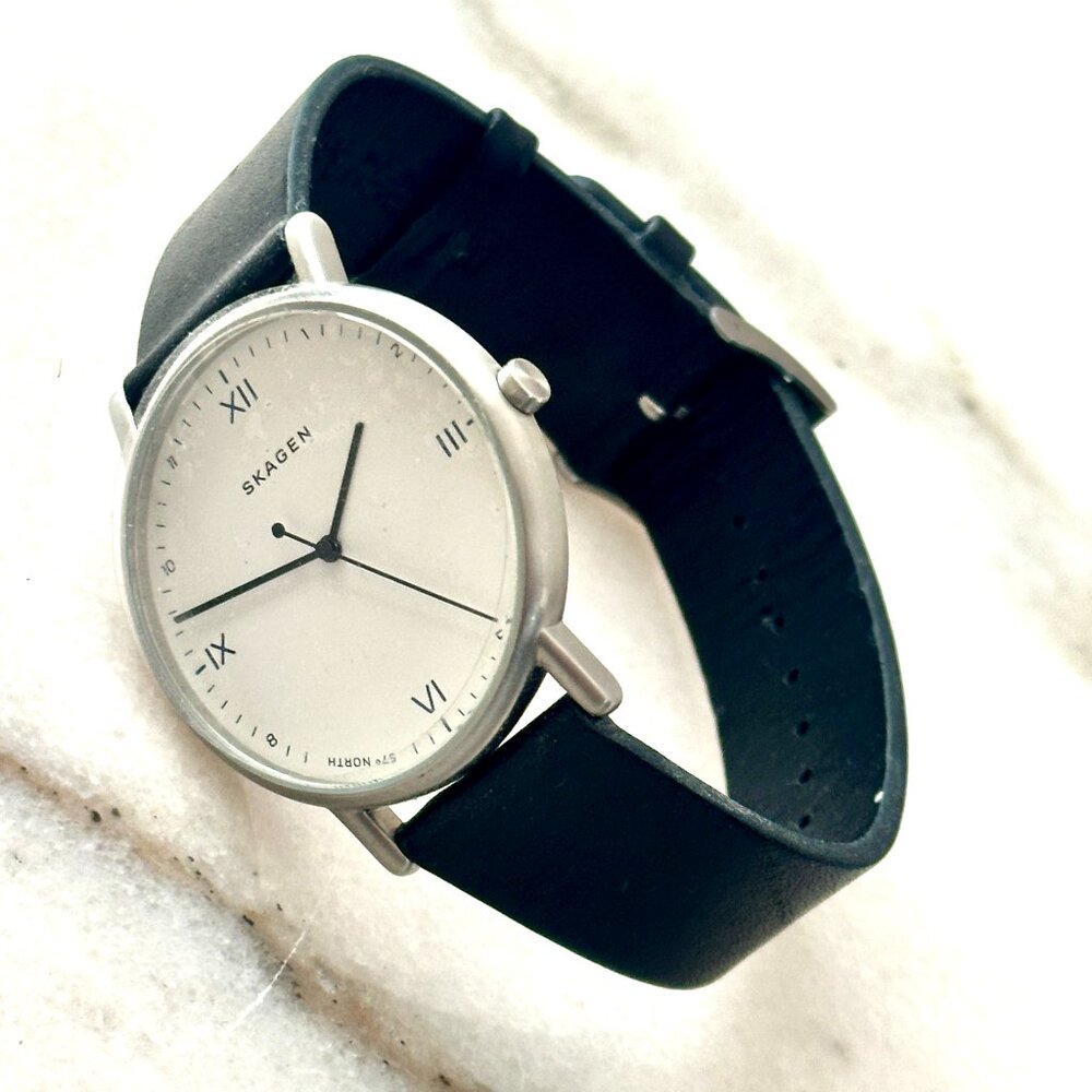 Skagen x Playtype Sigantur Men's Watch SKW6412 NEW